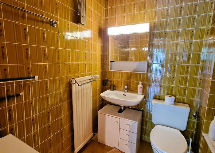 Pic Arzinol 6a -2 3 Personnes Appartement Evolène